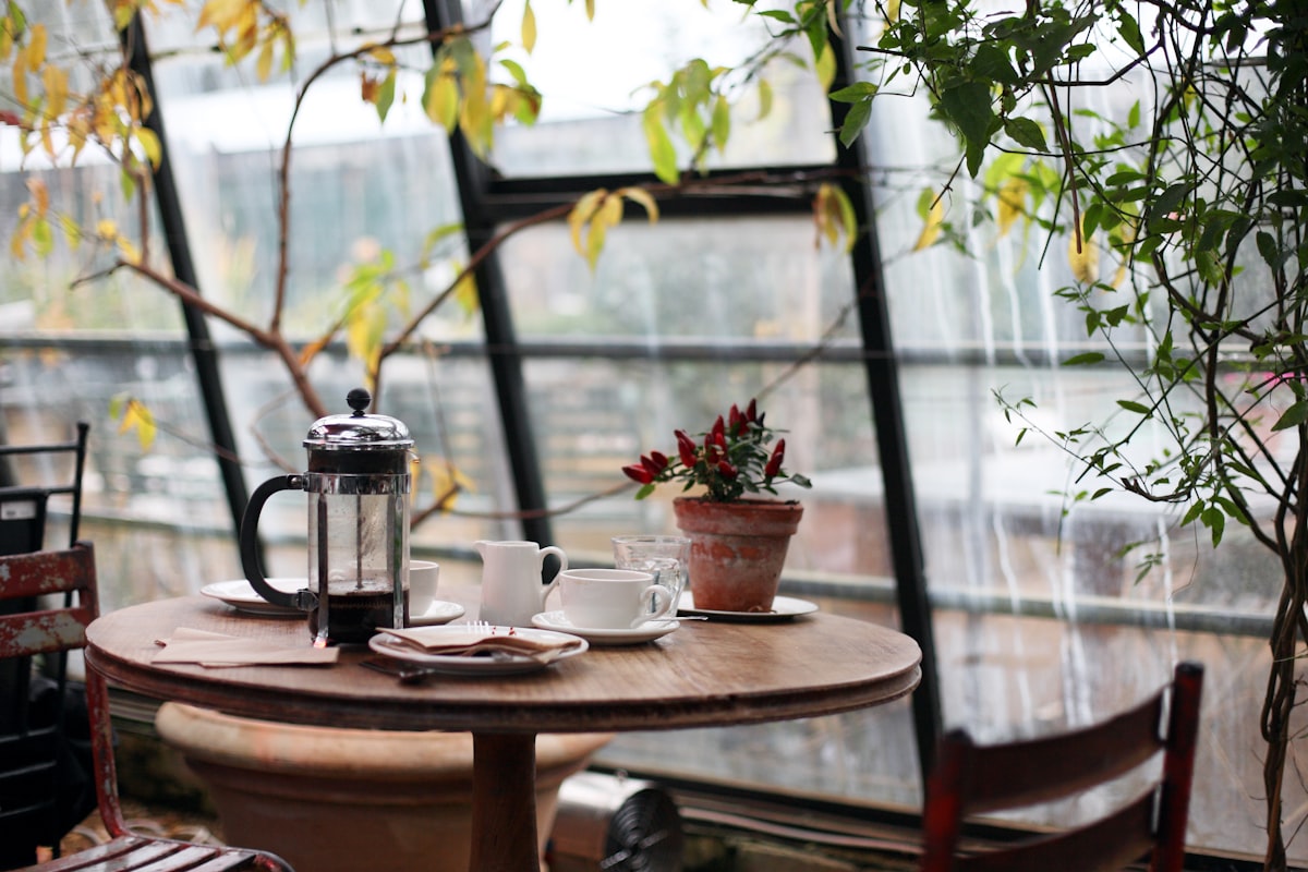 A cosy window table in warm morning light